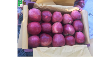 باغ سیب، اشنویه